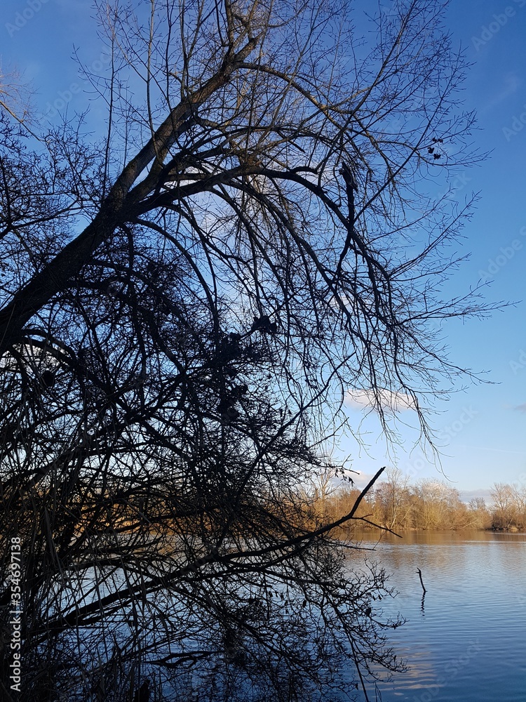 Ein alter Baum an der Mainschleife von Volkach.Fotos aufgenommen mit der Canon EOS 1200d mit Tamron Objektiv. Ein alter Baum an der Mainschleife von Volkach.Fotos aufgenommen mit der Canon EOS 1200d mit Tamron Objektiv.