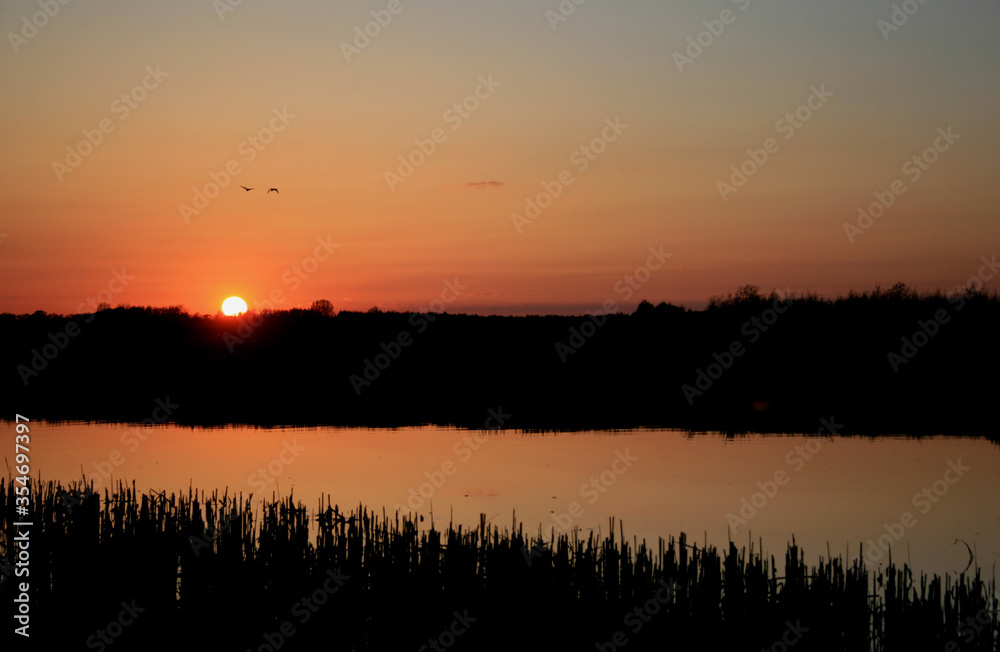 Sunset on the Biebrza river in Biebrza National Park, Poland