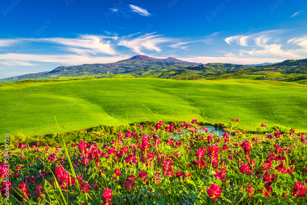 Landscape with flowers in foreground, Val d'Orcia valley of Tuscany in spring time, Italy. Landscape with flowers in foreground, Val d'Orcia valley of Tuscany in spring time, Italy.