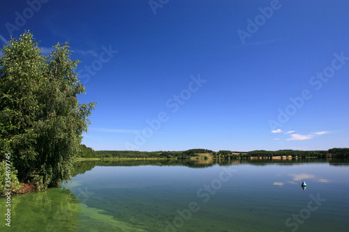 Summer landscape with lake in Bory Tucholskie National Park  Poland