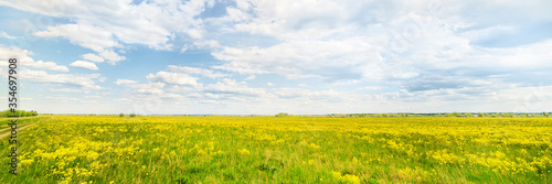 Green field and horizon at sunny day panoramic wide angle view
