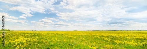 Green field and horizon at ...