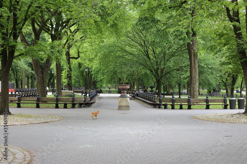 park in the city