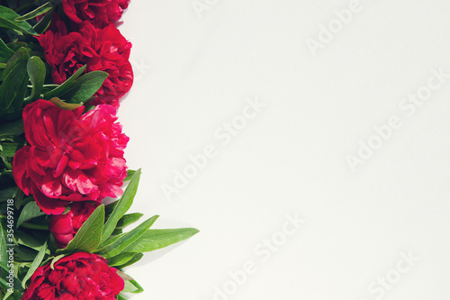 Dark peonies and leaves on white background. Copy space