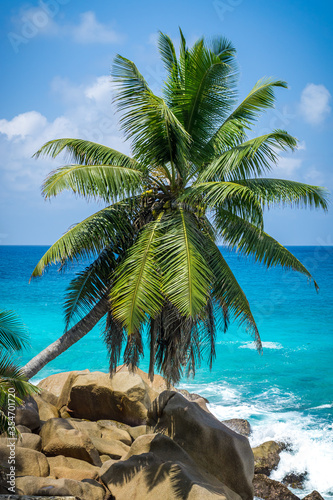 Beautiful palm tree on tropical beach  La Digue  Seychelles. Summer vacation and travel concept. Tropical beach 