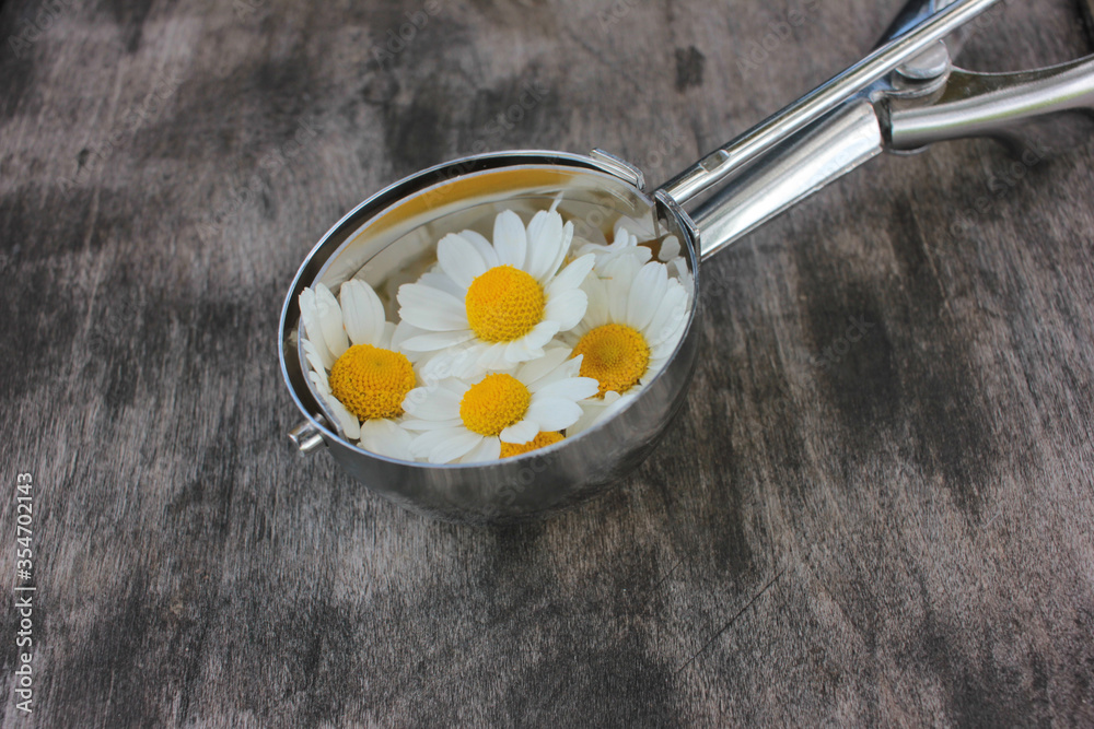 Ice cream metal scoop or spoon with edible chamomile flowers on a rustic wooden background with copy space
Ice cream metal scoop or spoon with edible chamomile flowers on a rustic wooden background with copy space