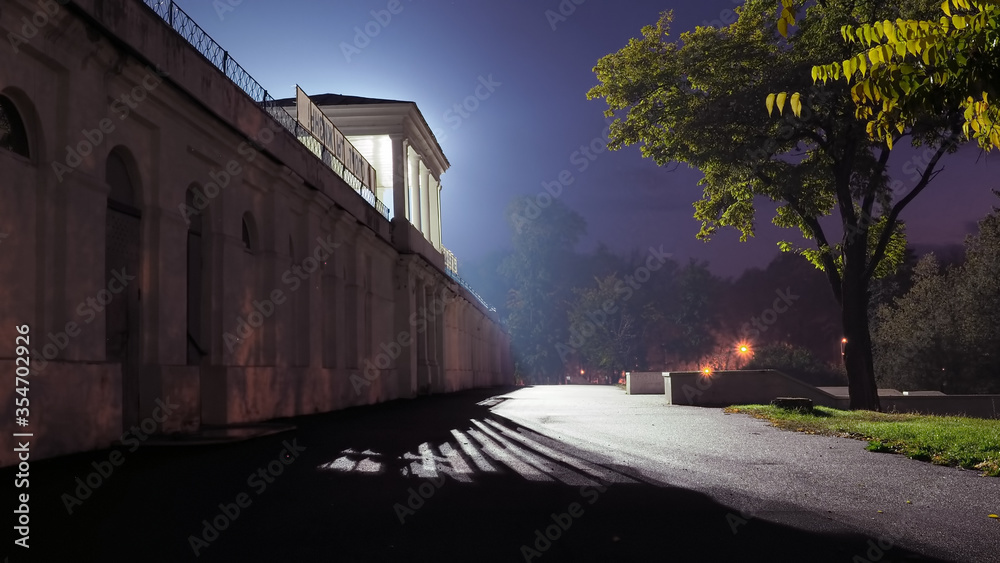 Night view of a tree and building in the Park. View of a beautiful green tree growing near the building at night Night view of a tree and building in the Park. View of a beautiful green tree growing near the building at night