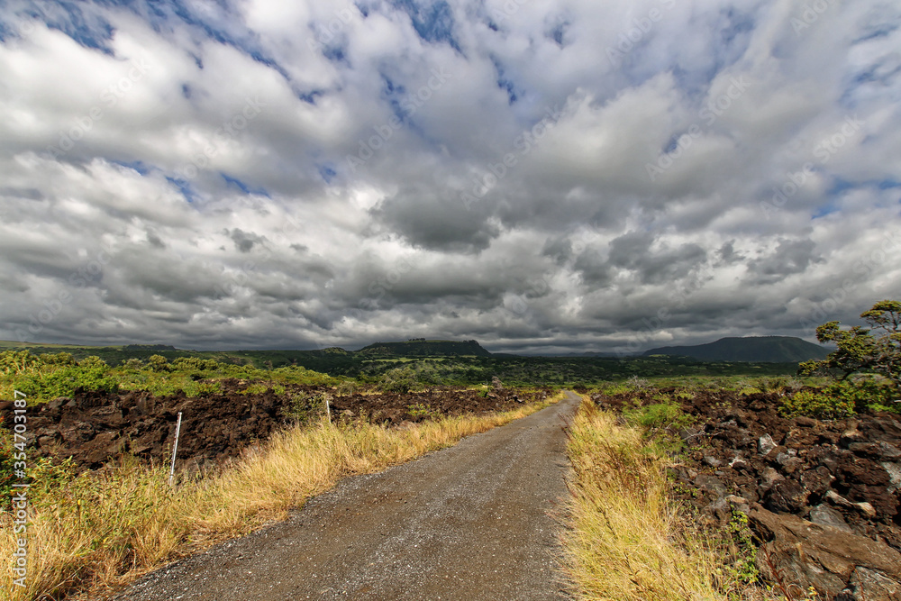 A trail to the volcanoes on the way to Punalu'u black sand beach, Big Island  Hawaii
