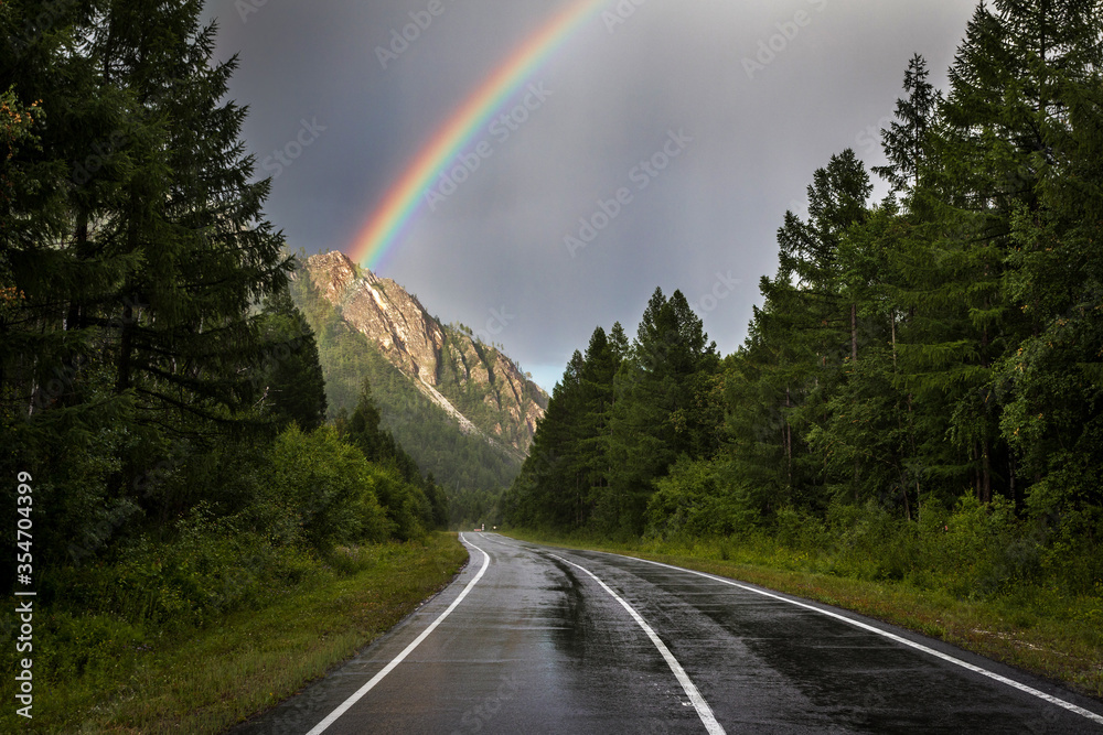 rainbow over an asphalt road in the forest