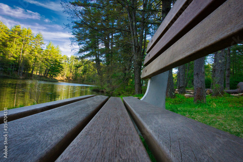 Interesting perspective of a park bench at Bear Brook State Park in Allenstown, NH photo