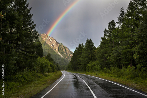 rainbow over an asphalt road in the forest