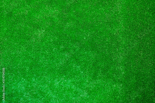 green grass texture