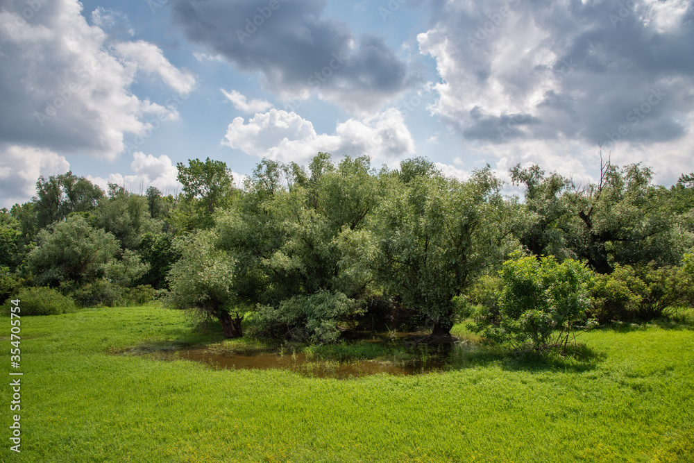 Protected natural asset - natural monument Protected natural asset - natural monument