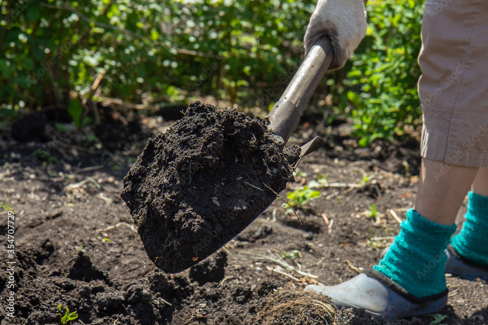 Obraz premium Garden work - digging