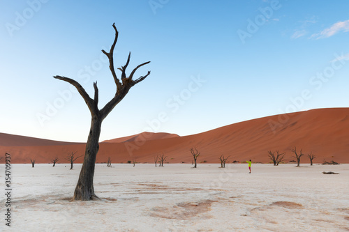 Silhouette of traveler in the Deadvlei pan, Namibia desert © longtaildog