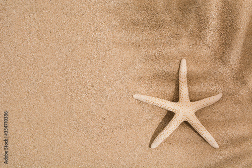 Natural dry star fish on sand with copy space. Flat lay. Top view. Summer time vacation background