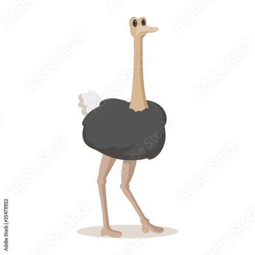 Cute ostrich standing. Colorful flat vector illustration, isolated on white background.