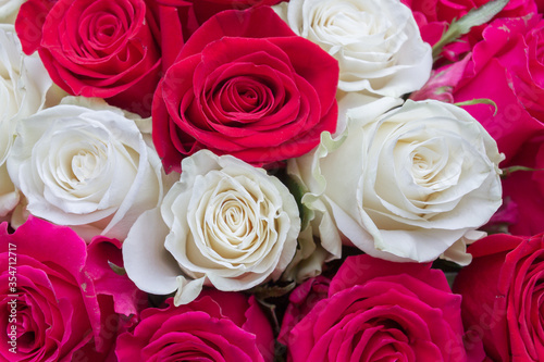Multi-colored bouquet of red  pink and white roses