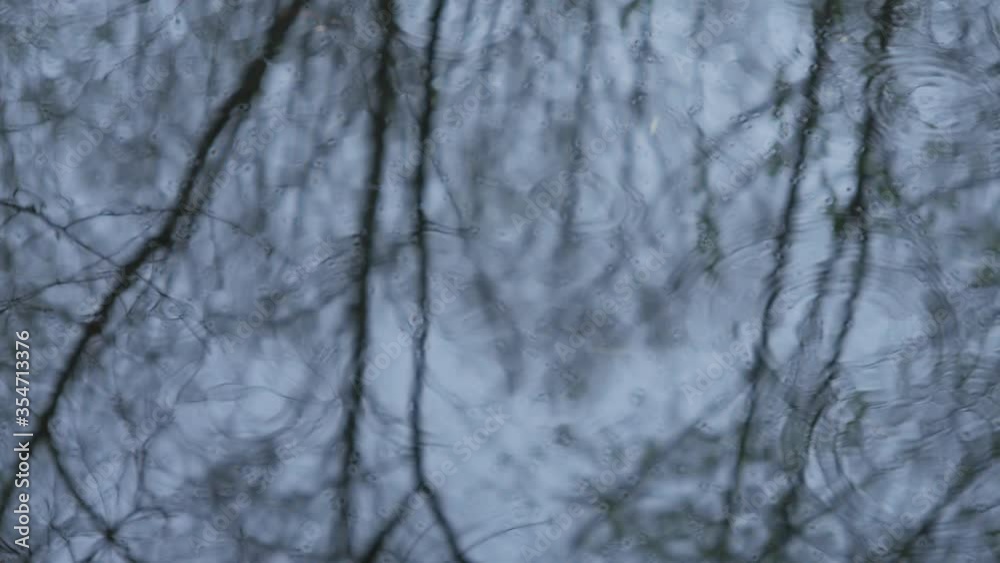 Forest reflection. Wave in the water. Loop Forest reflection. Wave in the water. Loop