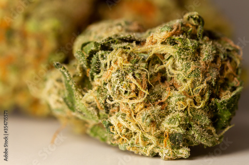close-up macro picture medical marijuanadried leaves of green medical marijuana.