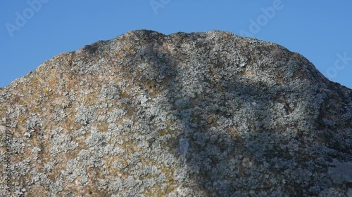 Shadows of branches on a stone photo