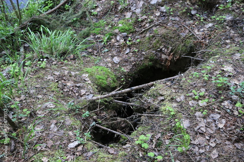 beaver pit