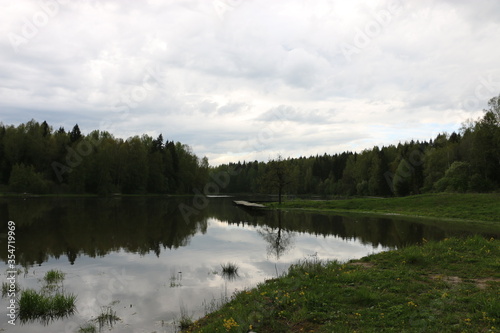 lake in the forest