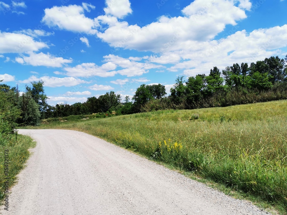road in the countryside - obrazy, fototapety, plakaty 