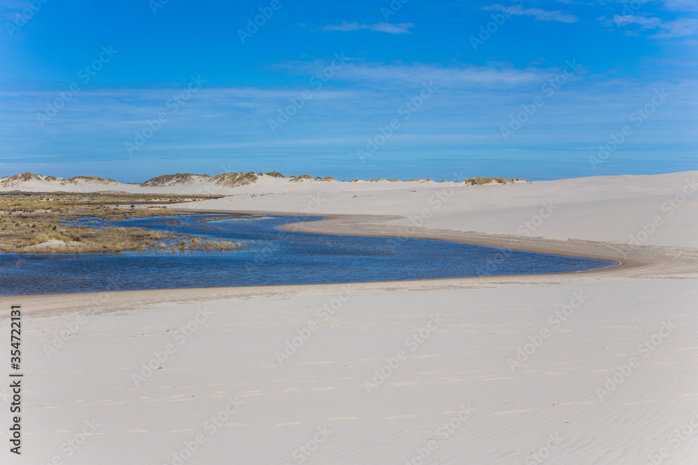 The view of Rabjerg mile, which is a largest migrating dune in Denmark close to Skagen