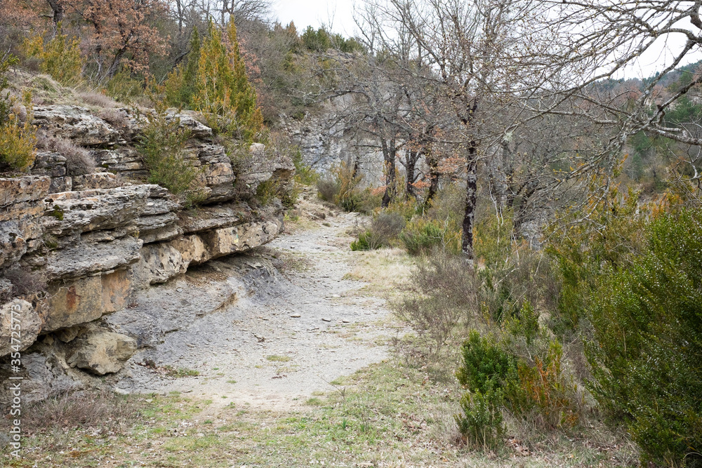 Fototapeta premium Ścieżka w górach Pirenejów
