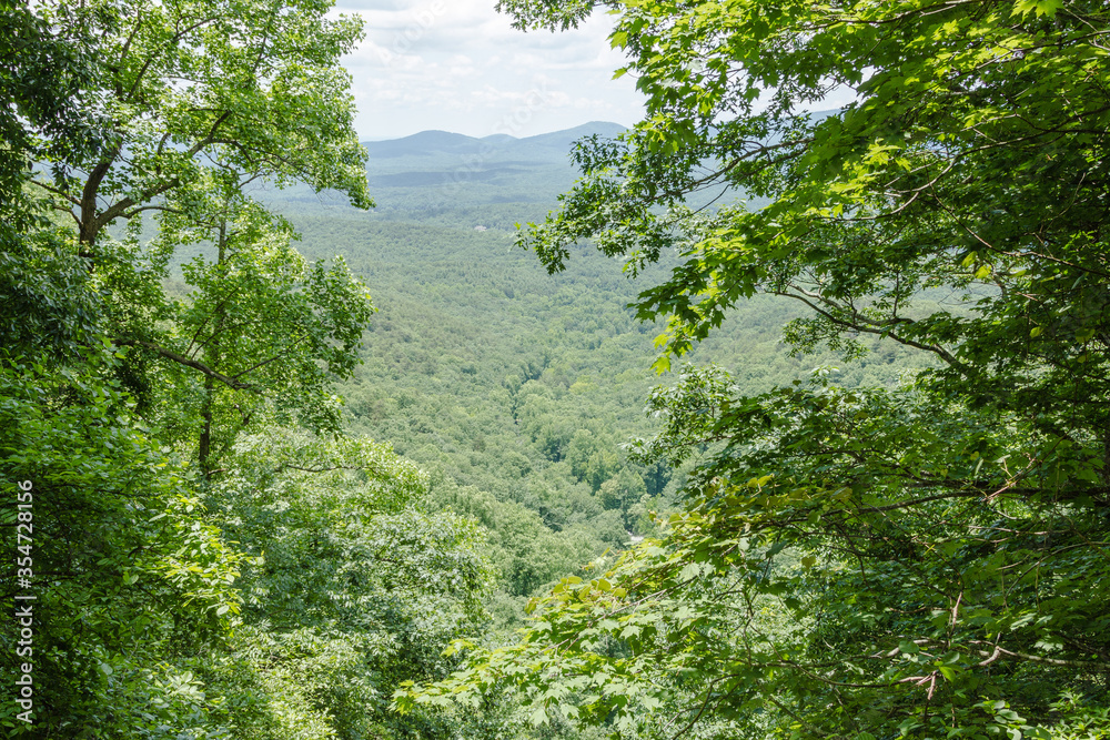 Looking through thick and lush branches out into valley with tree covered mountains on bright and sunny day Looking through thick and lush branches out into valley with tree covered mountains on bright and sunny day