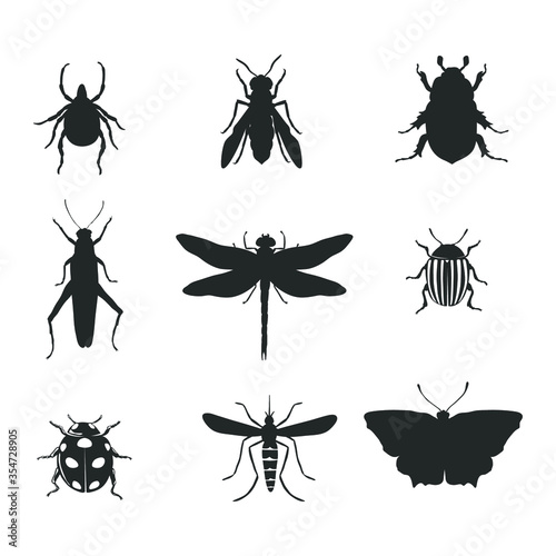 Collection of different types of insects isolated on white. Vector illustration. © Iryna
