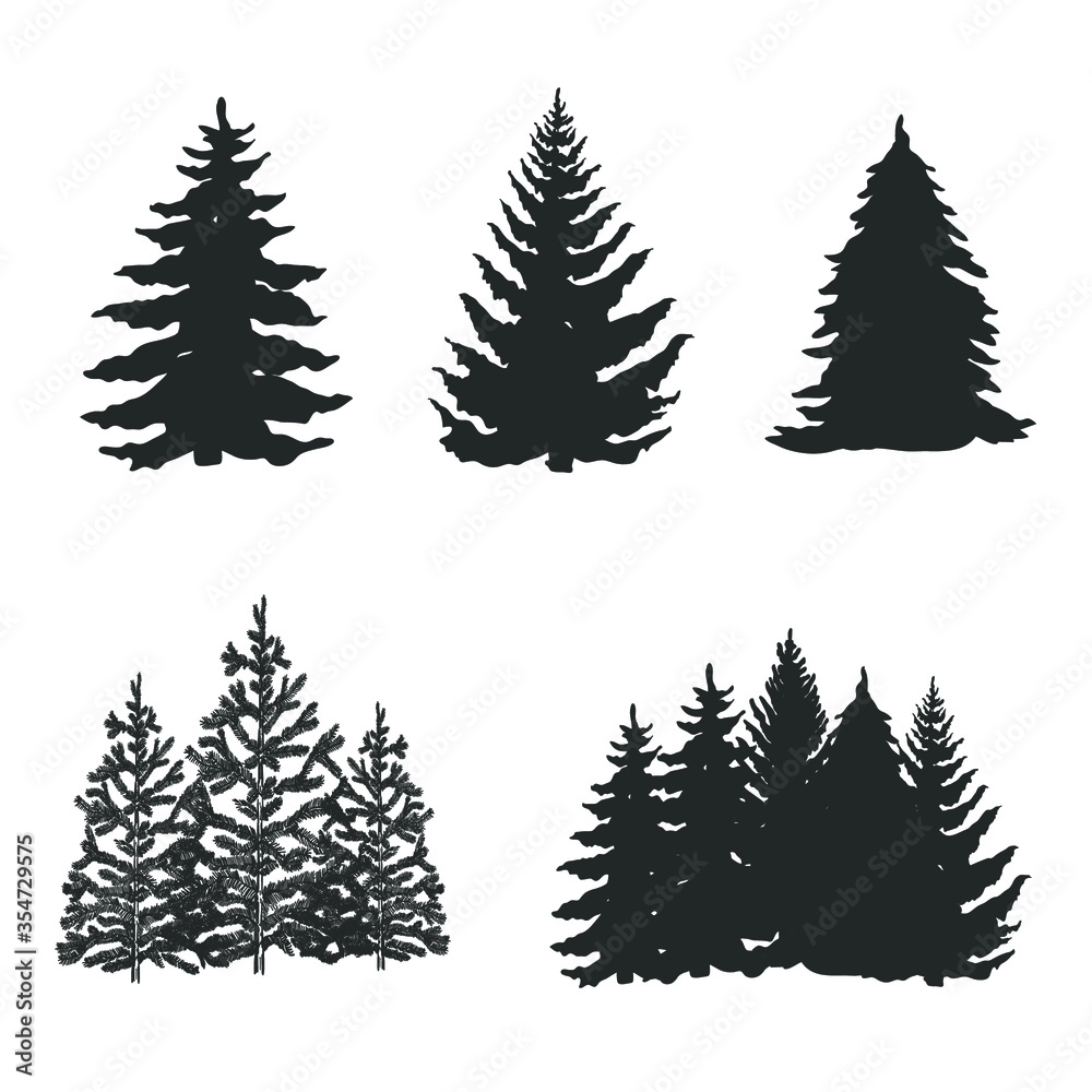 Collection of trees  isolated on white. Pine.  Vector illustration.