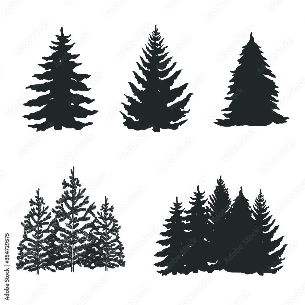 Obraz premium Collection of trees isolated on white. Pine. Vector illustration.