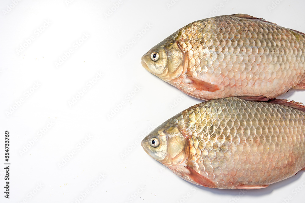 Crucian fish on a white background. Isolate.