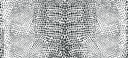 Snake skin seamless pattern. Vector illustration. photo