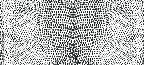 Snake skin seamless pattern. Vector illustration.
