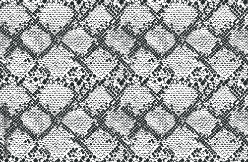 Snake skin seamless pattern. Vector illustration.