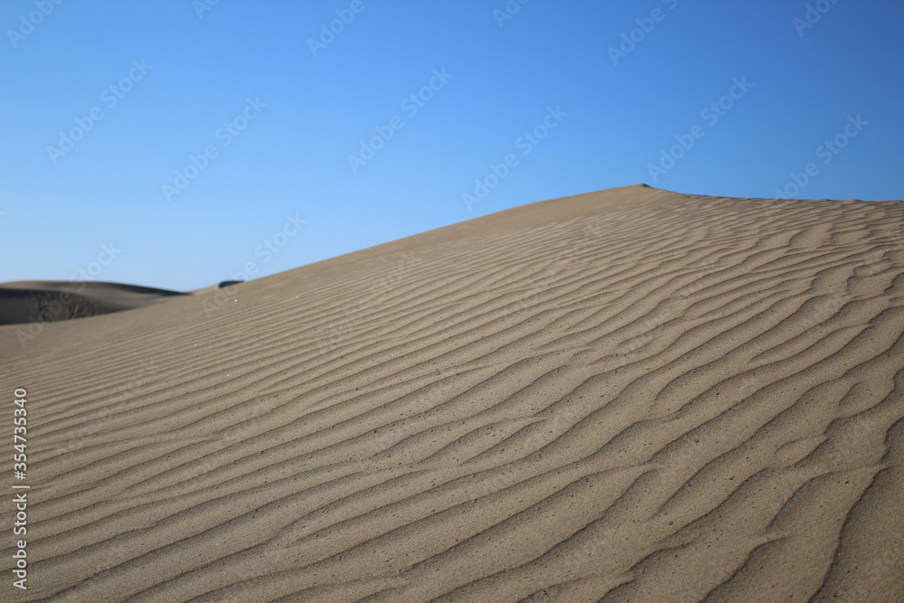 Naklejka premium Dunes of Maspalomas in Gran Canaria island