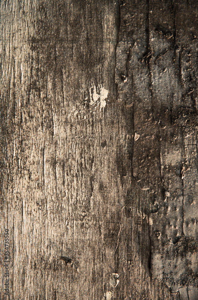 Obraz premium old wooden board, background