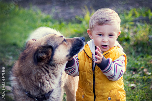 Beautiful kid stroking a yard dog. The child plays with the animal in nature. Сlose-up. Toned.