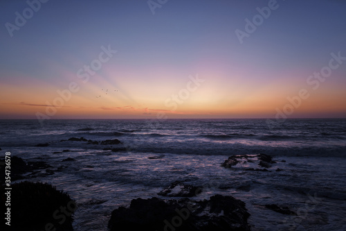 Landscape with pacific ocean, waves and birds. Sunset on the rocky coast with beautiful light and clouds. Majestic water space stretching to the horizon through the rays of the sun. American nature.