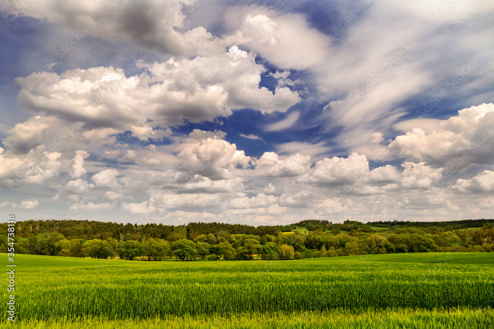 Spring landscape in sunny day. Rural countryside.