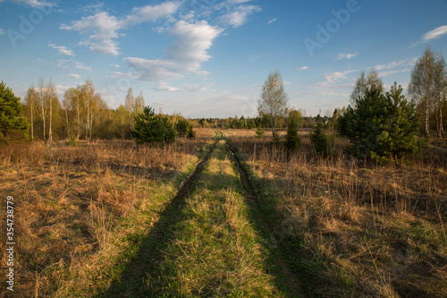 The road into the field  countryside. Spring  bright day