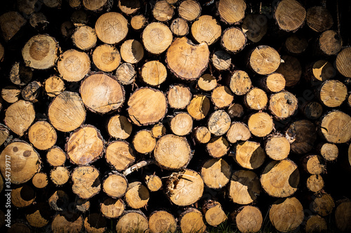 A close-up view of log cutting surfaces cut by lumberjack