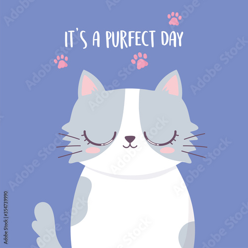 cute cat cartoon animal funny character and lettering love