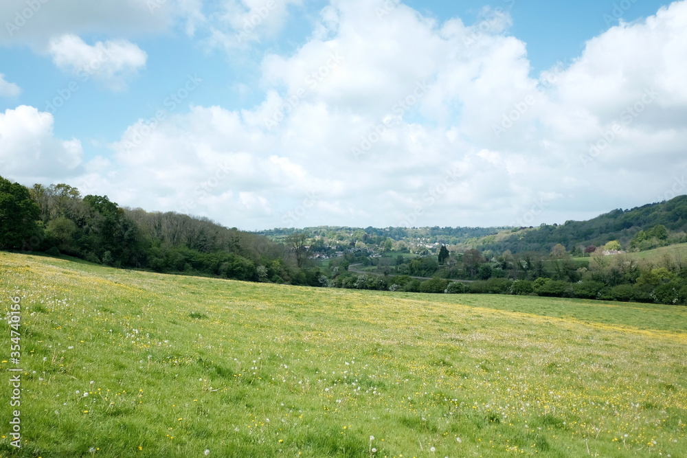 Scenic Landscape View of a Grass Field with Yellow Buttercup Flowers in a Beautiful Valley in Spring - Namely the Avon Valley on the Border of Wiltshire and Somerset in England