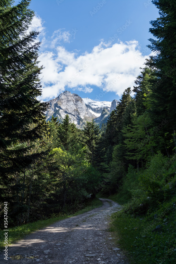 Obraz premium Mountain view with Trees