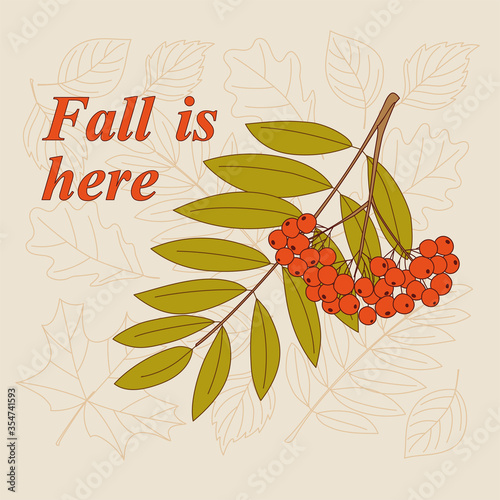 Flyer Fall is here with mountain ash twig