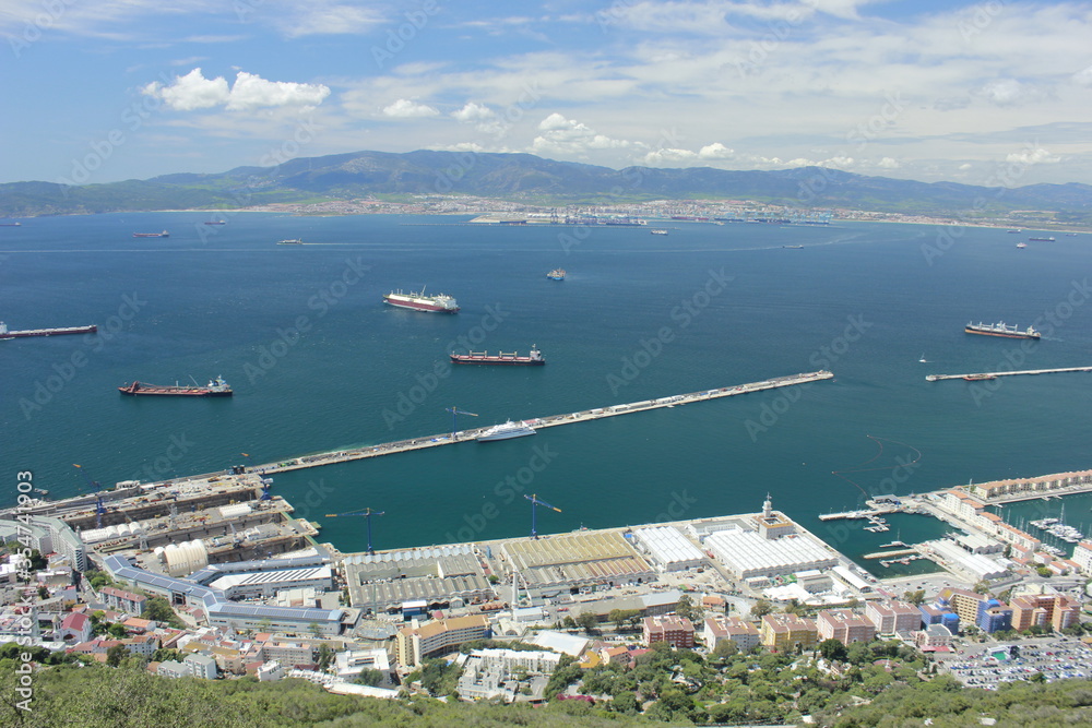 Views from Gibraltar (Great Britain). Monkeys.
